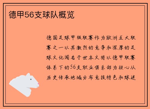 德甲56支球队概览