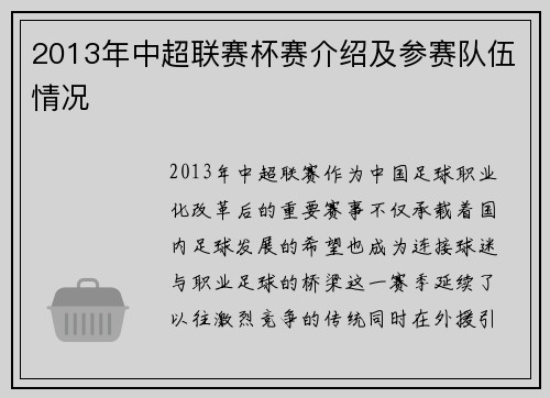 2013年中超联赛杯赛介绍及参赛队伍情况